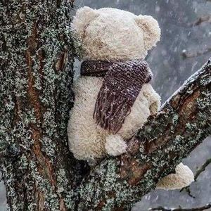 Meet your Posher, Modesto